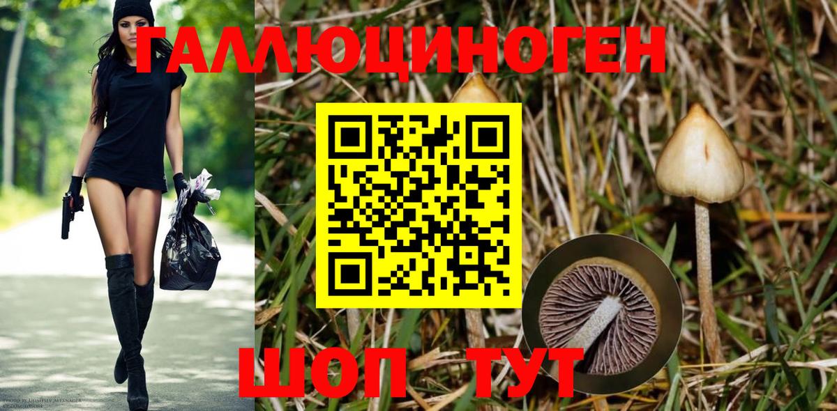 Галлюциногенные грибы MAGIC MUSHROOMS  Галлюциногенные грибы Psilocybe  Саранск  Вход с VPN 